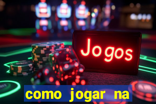 como jogar na seninha online